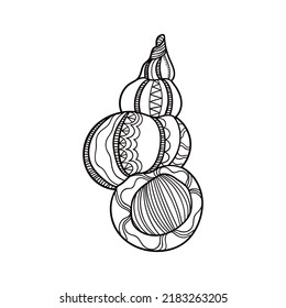 Shell with ornament. Linear black and white illustration.