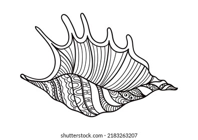 Shell with ornament. Linear black and white illustration.