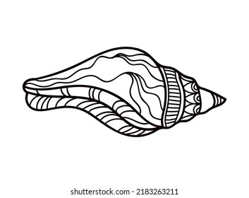 Shell with ornament. Linear black and white illustration.