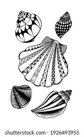 Shell ornament set black and white