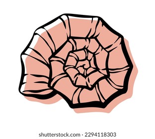 
Shell with an outline in a trendy minimal style. Vector illustration of a conch shell, spiral shell for tattoo, design social media post and stories