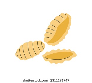 Shell pasta type concept. Traditional Italian cuisine. Menu cafe or restaurant. Ingredients and wheat products. Poster or banner. Cartoon flat vector illustration isolated on white background