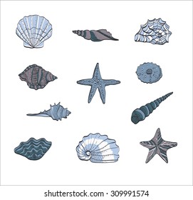 shell pattern