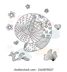 Shell pattern collection vector Designed in doodle style on a pastel background for digital printing,  clothing patterns, bag designs, fabric patterns, canvas prints, card  and more.