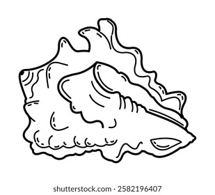 Shell pattern in contours. Sketch, outline in black and white on a white background.