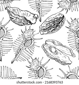 Shell pattern in a one line style. Outline of the plant: Black and white engraved ink art shells. Sketch wild flower for background, texture, wrapper pattern, frame or border.