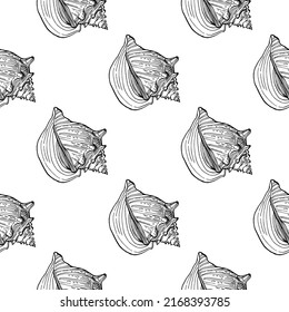 Shell pattern in a one line style. Outline of the plant: Black and white engraved ink art shells. Sketch wild flower for background, texture, wrapper pattern, frame or border.