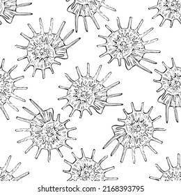 Shell pattern in a one line style. Outline of the plant: Black and white engraved ink art shells. Sketch wild flower for background, texture, wrapper pattern, frame or border.
