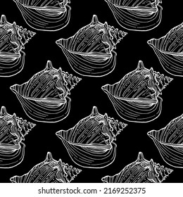 Shell pattern in a one line style. Outline of the plant: Black and white engraved ink art shells. Sketch wild flower for background, texture, wrapper pattern, frame or border.