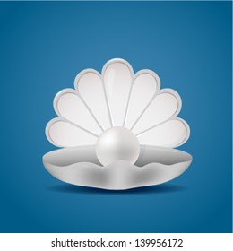 Shell pearl illustration