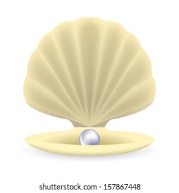 Shell with Pearl inside. Vector