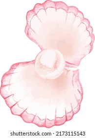 Shell con perla. Ilustración vectorial. Aislado sobre un fondo blanco.