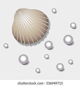 shell with pearls.natural material, precious, natural.