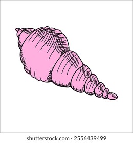 Shell pink. Spiral, conical shell of a sea or ocean mollusk. Hand drawn sketch of saltwater clam. Illustrations isolated on white background. Vector doodle conch. Sketch style. Element for summer.