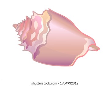 Shell Rapan. Madre de la cáscara rosa blanda de perla. Alarma oceánica en una concha rosa brillante - imagen vectorial de color completo.