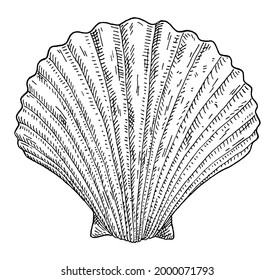 59,112 Scallop Designs Images, Stock Photos & Vectors | Shutterstock