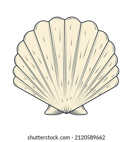 shell sea life icon isolated