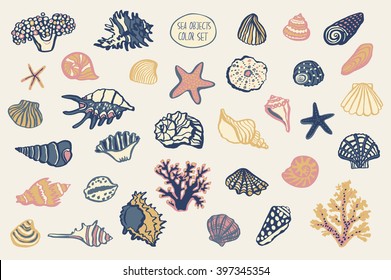 shell sea life vector color set