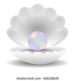 Shell. Sea. Pearl. Treasure. Summer. For your design.