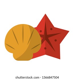 Shell and sea star cartoons isolated