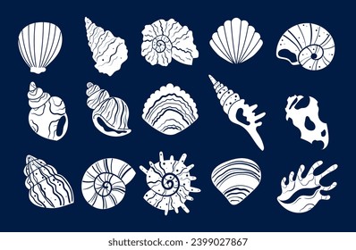 Shell sea starfish seashell mollusk isolated set concept. Vector graphic design illustration