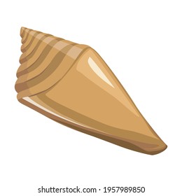 Shell sea vector cartoon icon. Vector illustration sea shell on white background. Isolated cartoon illustration icon of seashell.