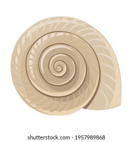 Shell sea vector cartoon icon. Vector illustration sea shell on white background. Isolated cartoon illustration icon of seashell.