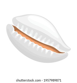 Shell sea vector cartoon icon. Vector illustration sea shell on white background. Isolated cartoon illustration icon of seashell.