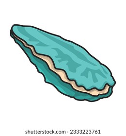 Shell sea vector color icon. Vector illustration sea shell on white background. Isolated color illustration icon of seashell.