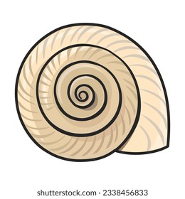 Shell sea vector color icon. Vector illustration sea shell on white background. Isolated color illustration icon of seashell.