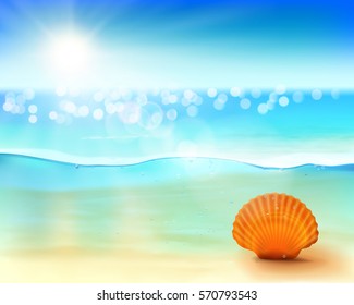 Shell in the sea. Vector illustration.