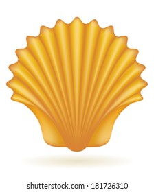 shell sea vector illustration isolated on white background