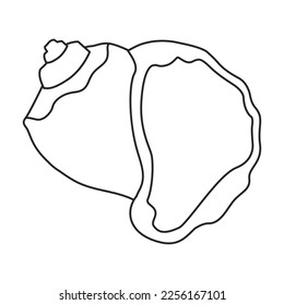 Shell sea vector outline icon. Vector illustration sea shell on white background. Isolated outline illustration icon of seashell.