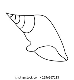 Shell sea vector outline icon. Vector illustration sea shell on white background. Isolated outline illustration icon of seashell.