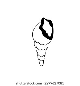 concha, concha. ilustración en blanco y negro de una concha de mar. icono