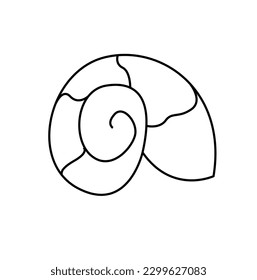 shell, seashell. black and white illustration of a seashell. icon