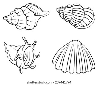 Shell Set Collection