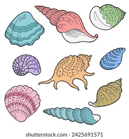 Shell set graphic color sketch illustration vector 