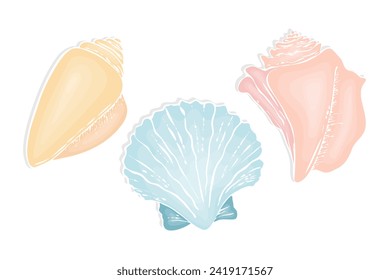 Shell set, hand drawn seashells, marine ocean life, on isolated white background.