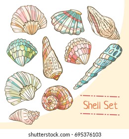 Conjunto de shell aislado en fondo blanco. Ilustración del vector