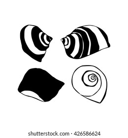 shell set silhouette