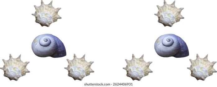 shell and shellfish in the sea