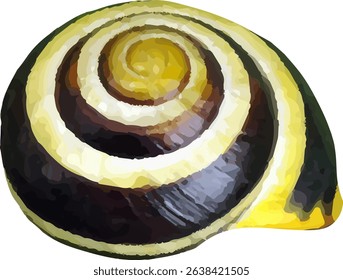 shell and shellfish in the sea14
