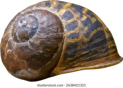shell and shellfish in the sea15