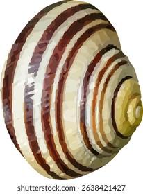 shell and shellfish in the sea16