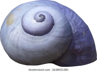 shell and shellfish in the sea18