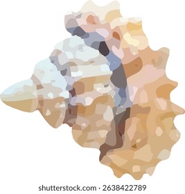 shell and shellfish in the sea3