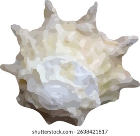 shell and shellfish in the sea7