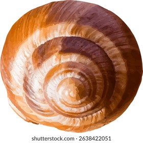 shell and shellfish in the sea9