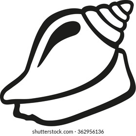 Shell snail contour